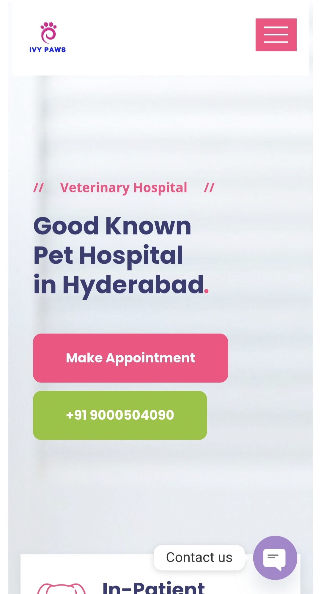 Ivy Paws- Website and Digital Marketing